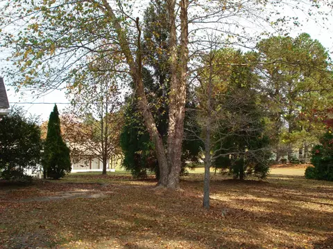 144 Pearidge Rd, Willow Spring, NC 27592 photo 14
