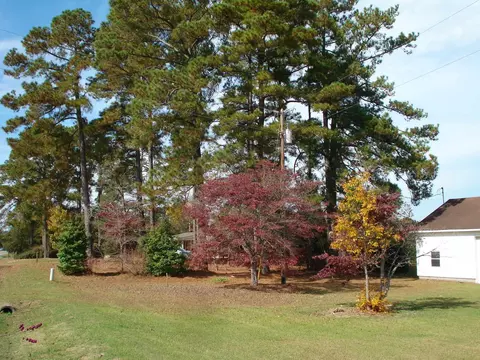 144 Pearidge Rd, Willow Spring, NC 27592 photo 68