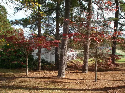 144 Pearidge Rd, Willow Spring, NC 27592 photo 70