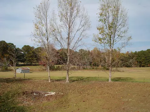 144 Pearidge Rd, Willow Spring, NC 27592 photo 17