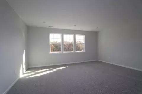 1045 Climbing Aster Dr, Durham, NC 27703 photo 12