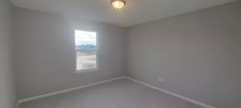 199 Gobbler Hill Trl, Willow Spring, NC 27592 photo 29