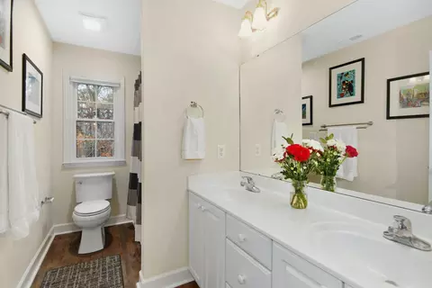 6 Iron Tree Ct, Durham, NC 27712 photo 22