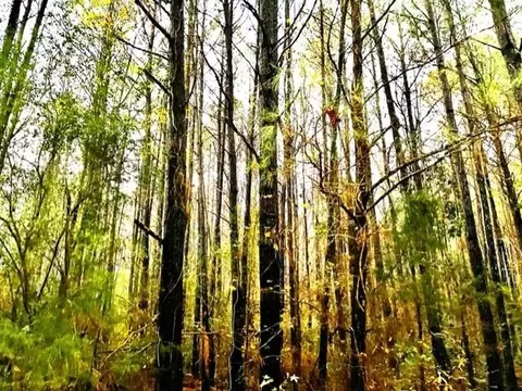 lot2 Valley Rd, Warrenton, NC 27589
