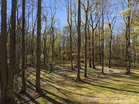 170 Walker Run, Selma, NC 27576 photo 40