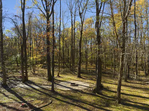 170 Walker Run, Selma, NC 27576 photo 42