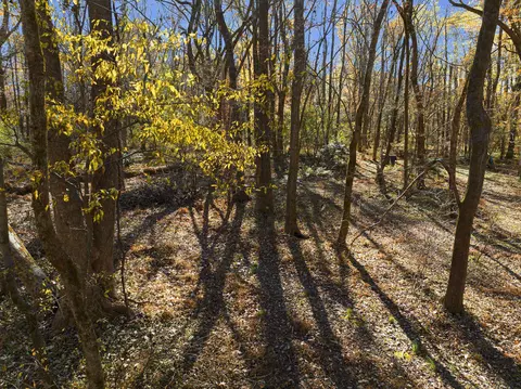 170 Walker Run, Selma, NC 27576 photo 44