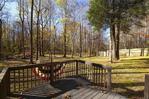 170 Walker Run, Selma, NC 27576 photo 30