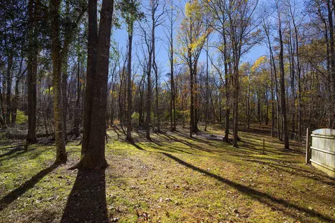 170 Walker Run, Selma, NC 27576 photo 39