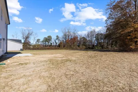 9793 Chapman Rd, Bailey, NC 27807 photo 30
