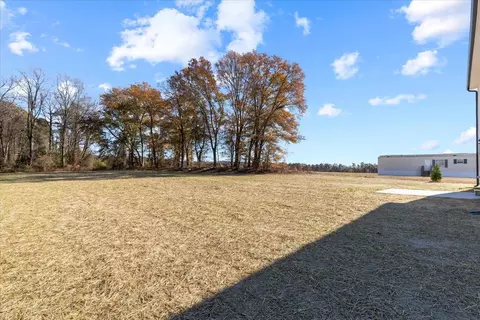 9793 Chapman Rd, Bailey, NC 27807 photo 29