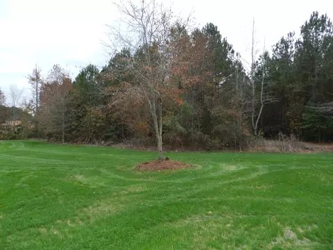 264 Tractor Pl, Willow Spring, NC 27592 photo 15