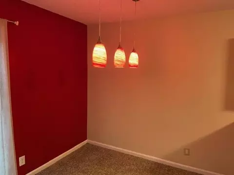 2107 Alpine Rd, Durham, NC 27707 photo 4