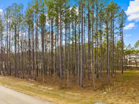 617 Dappled Pine Ave, Durham, NC 27713 photo 12