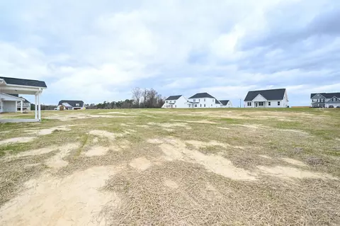 3 E Sand Luggs Ct, Angier, NC 27501 photo 20
