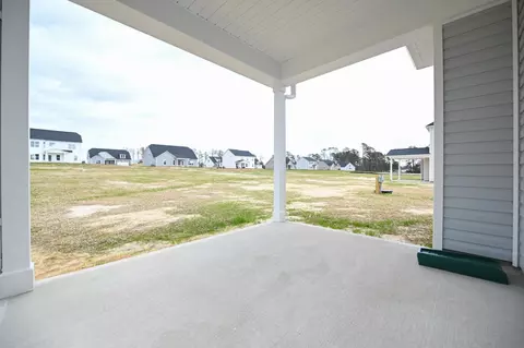 19 E Sand Luggs Ct, Angier, NC 27501 photo 29