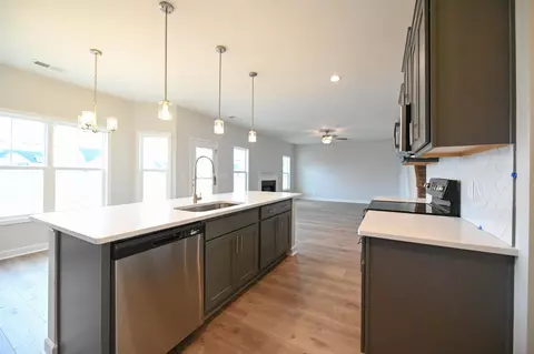 19 E Sand Luggs Ct, Angier, NC 27501 photo 14