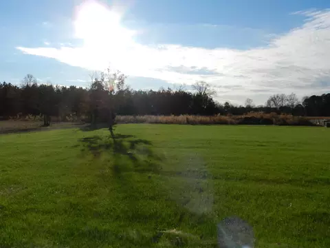 194 Tractor Pl, Willow Spring, NC 27592 photo 17