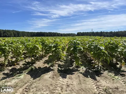 344 Moore Rd, Kenly, NC 27542 photo 8