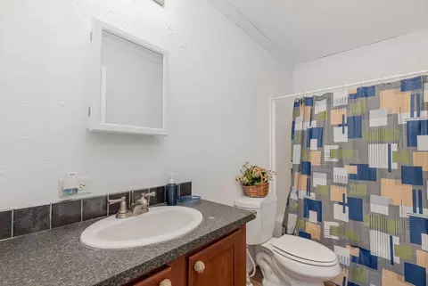 3217 Tarheel Blue Ln, Willow Spring, NC 27592 photo 20