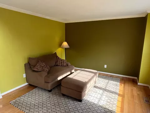 3 Bess Ct, Durham, NC 27707 photo 49