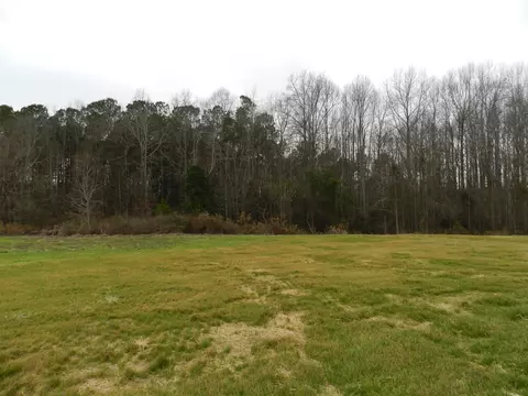 104 Tractor Pl, Willow Spring, NC 27592 photo 16