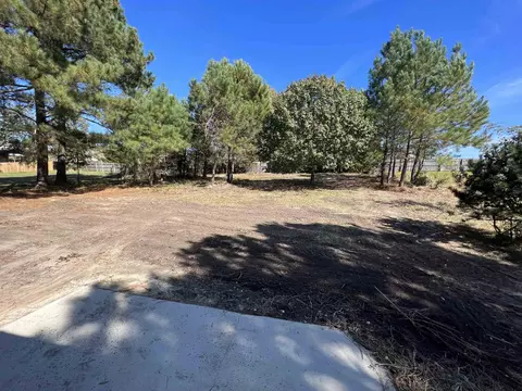 69 Gray Ghost St, Benson, NC 27504 photo 9
