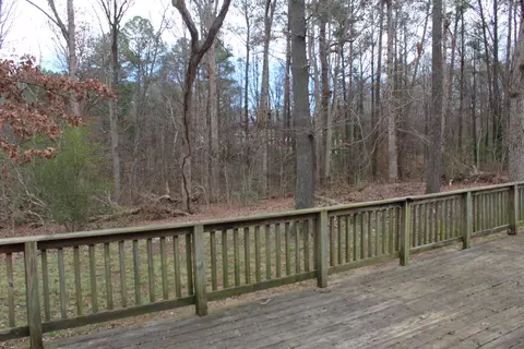 2922 Darrow Rd, Durham, NC 27704 photo 12