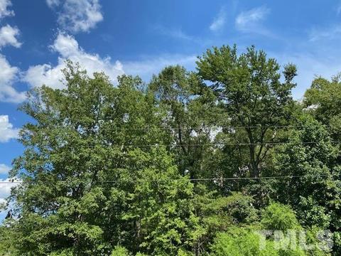 1081 Stirrup Ln, Stem, NC 27581 photo 1