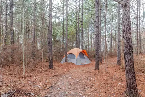 134 Evie Dr, Smithfield, NC 27577 photo 48