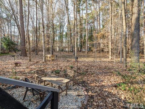 43 Willow Bridge Dr, Durham, NC 27707 photo 47