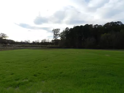 146 Tractor Pl, Willow Spring, NC 27592 photo 16