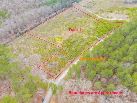 821 Alton King Rd, Goldston, NC 27252
