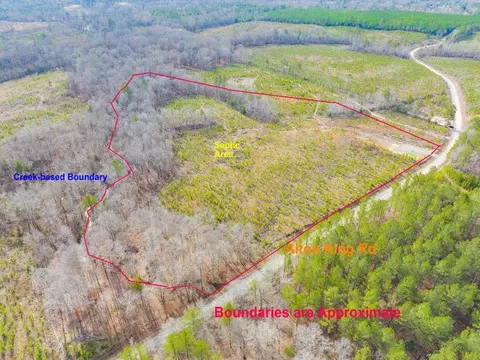 1223 Alton King Rd, Goldston, NC 27252
