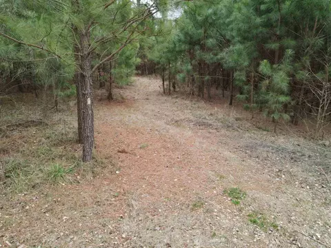 9751 Nc Highway 39, Middlesex, NC 27557 photo 6