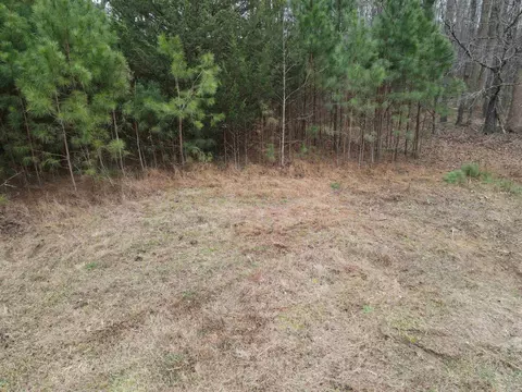 9751 Nc Highway 39, Middlesex, NC 27557 photo 8
