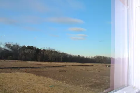 9585 Chapman Rd, Bailey, NC 27807 photo 44