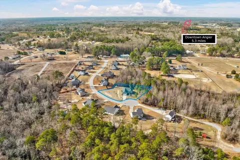 149 Plainview Pointe Dr, Angier, NC 27501 photo 9