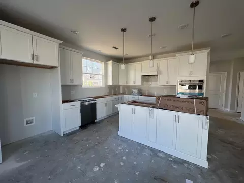 7124 Crested Iris Pl, Durham, NC 27703 photo 5