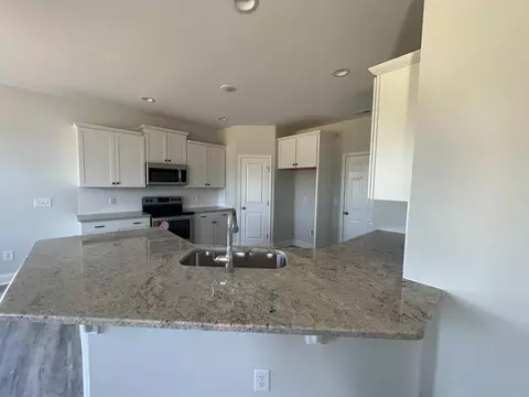 147 Briar Den Ct, Benson, NC 27504 photo 2