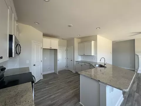 147 Briar Den Ct, Benson, NC 27504 photo 5