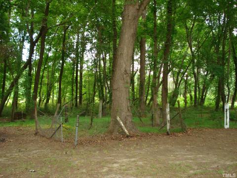 120 Cinnamon Ln, Erwin, NC 28339 photo 30