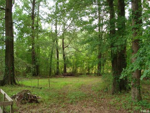 120 Cinnamon Ln, Erwin, NC 28339 photo 27