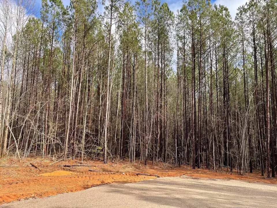  000 Fish Stallings Rd, Henderson, NC 27537 photo 1