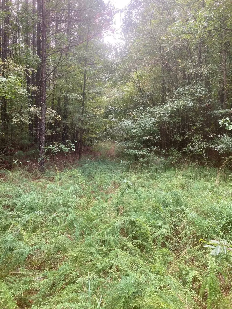  000 Fish Stallings Rd, Henderson, NC 27537 photo 7