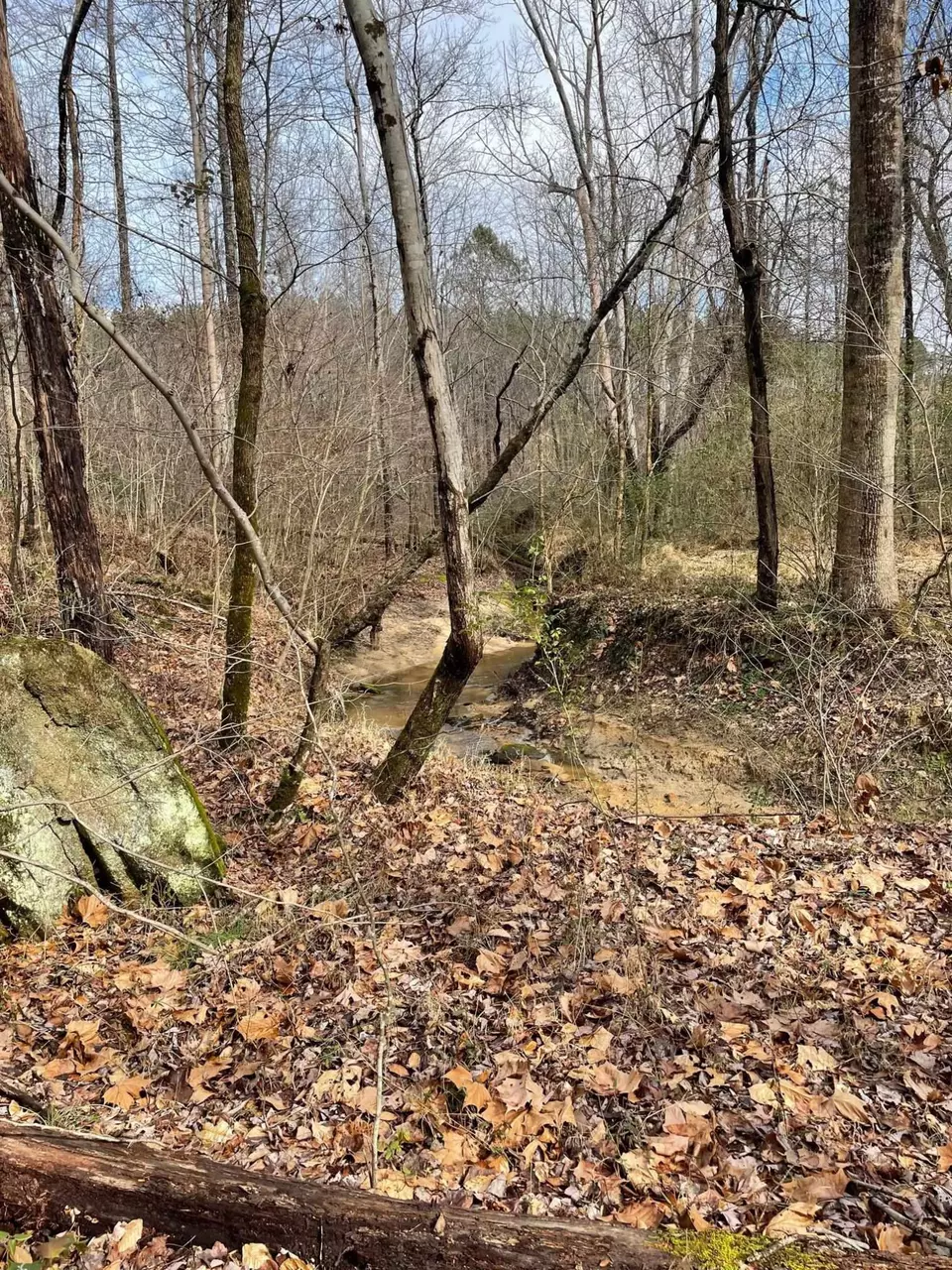  000 Fish Stallings Rd, Henderson, NC 27537 photo 3