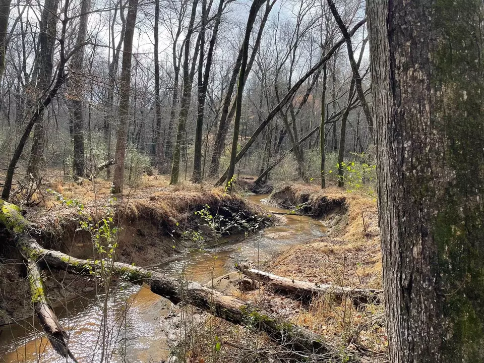  000 Fish Stallings Rd, Henderson, NC 27537 photo 4