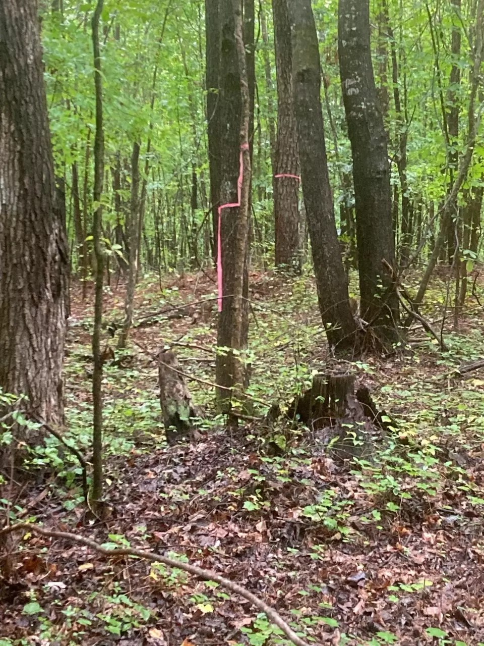  000 Fish Stallings Rd, Henderson, NC 27537 photo 6