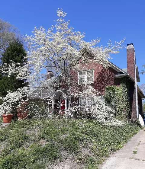 314 W Trinity Ave, Durham, NC 27701 photo 3