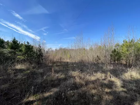 0 Lettuce Hall Rd, Spring Hope, NC 27882 photo 4